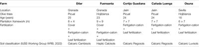 Integrated Vascular Analysis System of Olive Cultivation: Savia Olivar Project